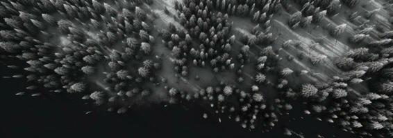 AI generated an aerial shot of snow covered pine trees, photo