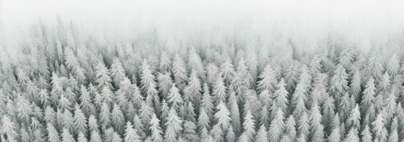 AI generated an aerial shot of snow covered pine trees, photo