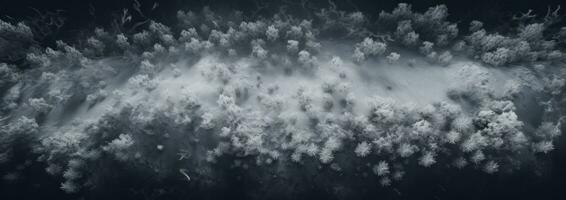 AI generated aerial view of white snow covered trees on a black background, photo