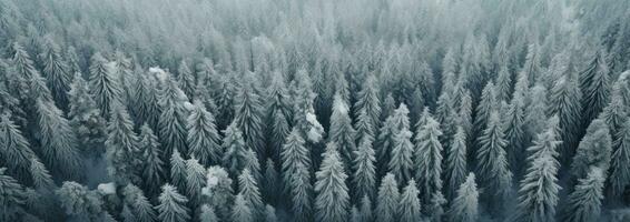 AI generated an aerial shot of snow covered pine trees, photo