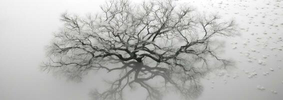 AI generated aerial view of tree covered in snow, photo