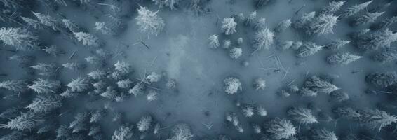 AI generated an aerial shot of snow covered pine trees, photo