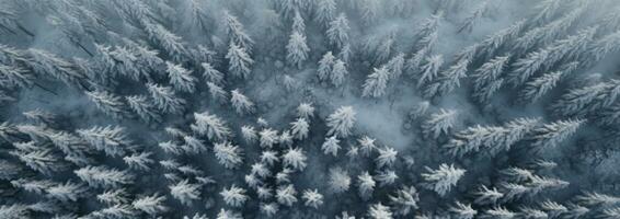 AI generated an aerial shot of snow covered pine trees, photo