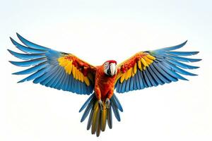 AI generated Macaw parrot on a white background. photo