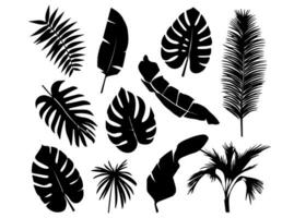 Set of black silhouettes of leaves and flowers. Vector illustration.