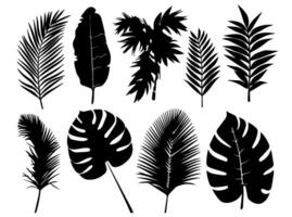 Set of black silhouettes of leaves and flowers. Vector illustration.