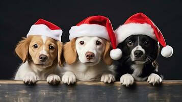 ai generado perros en santas sombrero en vívido antecedentes foto