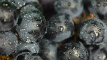 grain de raisin fruit avec gouttes l'eau video