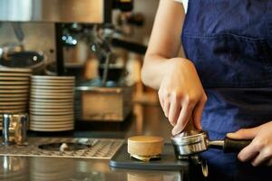 cerca arriba de barista hembra manos prensado café dentro manosear, prepara orden en café detrás mostrador foto