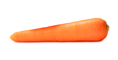 Front side view of beautiful orange carrot isolated with clipping path and shadow in png file format