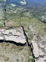 a rock formation in the water with algae growing on it photo
