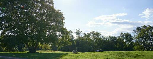 soleado día en parque. paisaje de verde césped y dos bicicletas en pie cerca árbol, rayos de sol Encendiendo arriba el escena foto