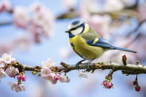 ai generado un bluetit pájaro descansando en el rama de un árbol. ai generado. foto