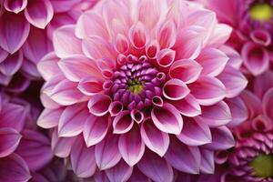 AI generated Dahlia flower background.  AI Generated. photo