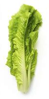 AI generated Lettuce isolated on white background. AI Generated photo