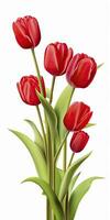 ai generado rojo tulipanes aislado en blanco antecedentes. ai generado foto