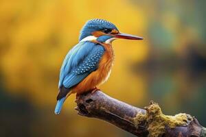 AI generated Kingfisher sitting on the tree branch. AI Generated photo