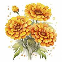 AI generated Watercolor autumn marigold flowers with raindrops on white background. AI Generated photo