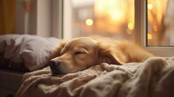 ai generado generativo ai, linda perro dormido en acogedor calentar cobija cerca el ventana, higge estilo foto