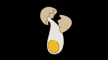 egg 2d animated cartoon video