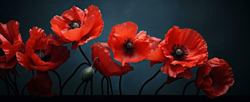 AI generated red poppies against black background photo