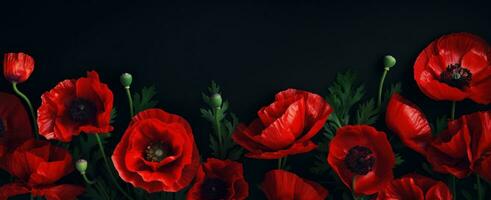 AI generated red poppies against black background photo