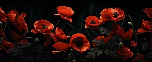 AI generated images of red poppies on a black surface photo