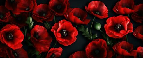 AI generated red poppies against black background photo