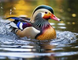 AI generated Closeup of mandarin duck swimming in lake. generative AI. photo
