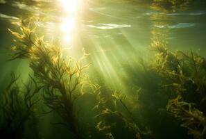 AI generated seaweed and sunlight photo