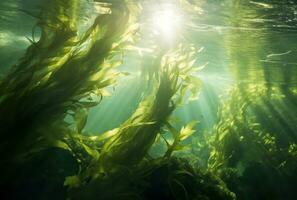 AI generated seaweed and sunlight photo