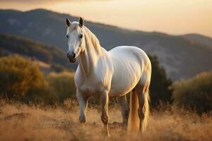 ai generado blanco caballo o yegua en el montañas a puesta de sol. ai generado foto