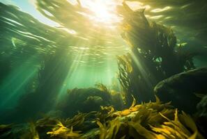 AI generated kelp and algae underwater in the sunlight, photo