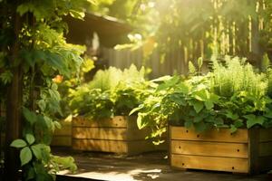 ai generado plantas creciente en de madera cajas iluminado por el sol foto