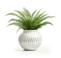 AI generated fern plant in the white ceramic pot isolated on a white background photo