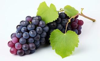AI generated grapes and black grapes were shown on white background photo