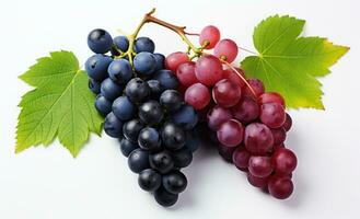 AI generated grapes and black grapes were shown on white background photo