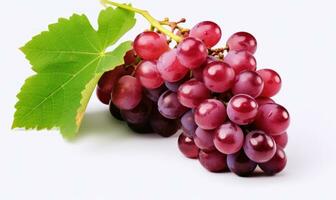 AI generated red grape extract photo