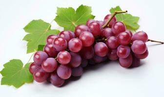 AI generated red grape extract photo
