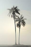 ai generado Tres solitario palma arboles son metido juntos, con linterna y blanco antecedentes foto