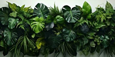 ai generado tropical follaje, plantas foto