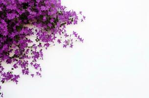 ai generado un blanco pared con púrpura flores foto