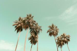 AI generated palm trees standing horizontally against the sky photo