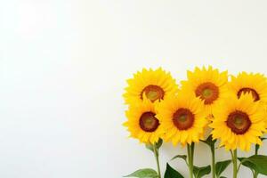 AI generated arrangement of sunflowers in natural arrangement on white photo