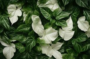 AI generated an arrangement of green leaves and leaves, photo