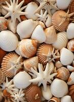 AI generated an image of a large group of sea shells photo