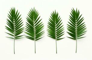 AI generated four green palms leaves on white background photo