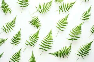 AI generated green fern leaves on a white background, photo