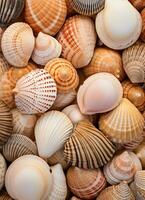 ai generado un imagen de un grande grupo de mar conchas foto