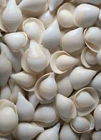 AI generated an image of a large group of sea shells photo